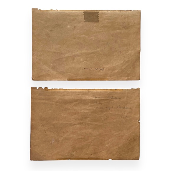 Antique Bird Illustrations - book plate etchings - Picture 2 of 15